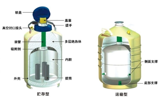 液氮罐結(jié)構(gòu) 液氮罐結(jié)構(gòu)