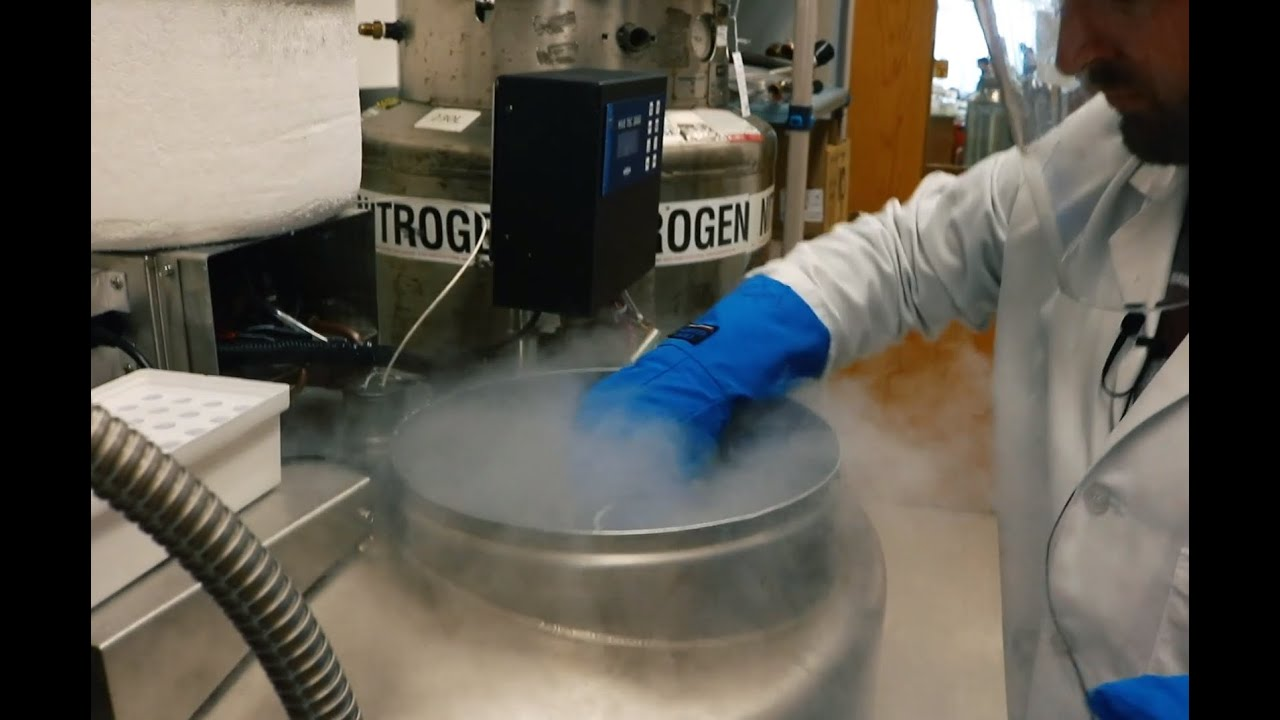 氣相液氮罐 氣相液氮罐